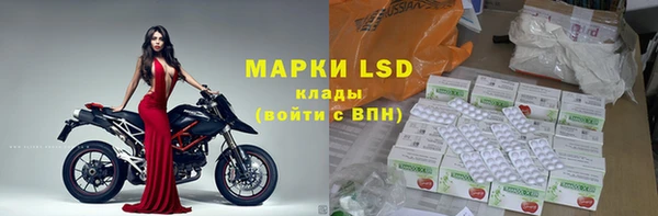 прущие грибы Нефтекумск