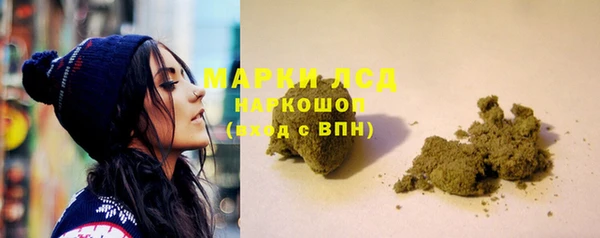 гашик Бердск