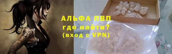 прущие грибы Нефтекумск